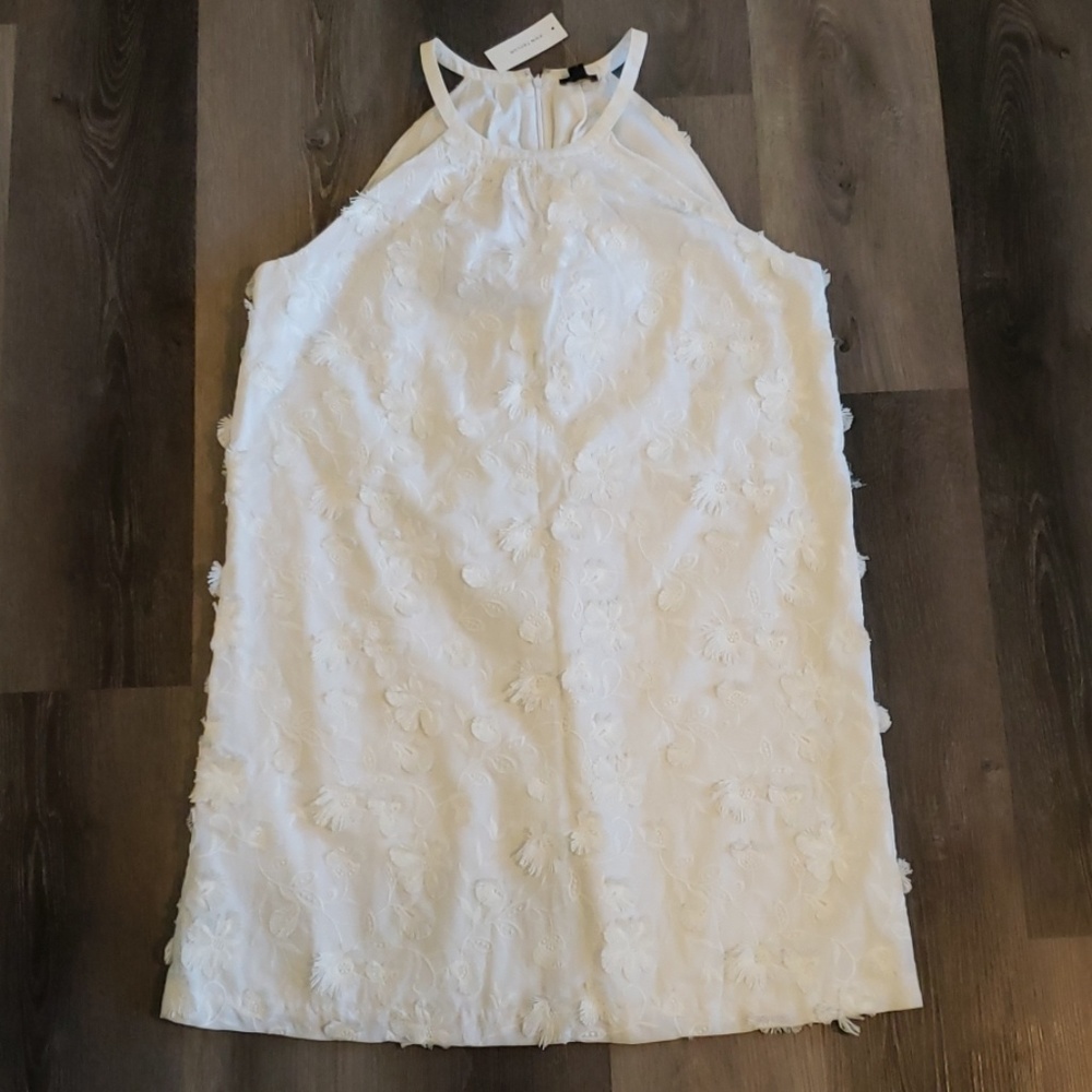Ann Taylor Dress